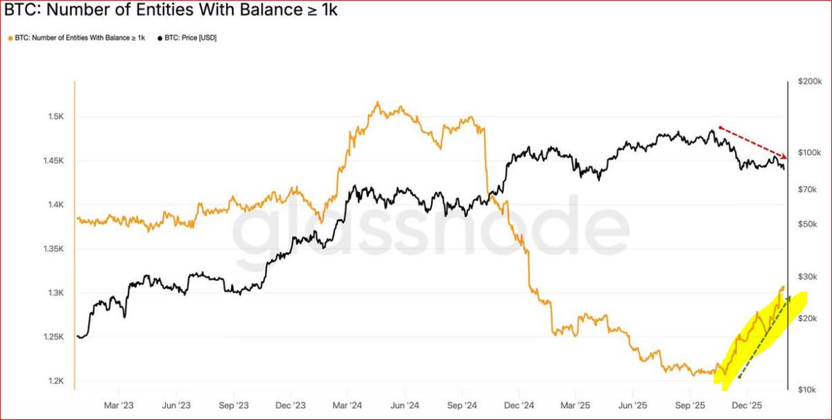 1,000 BTC 이상 보유자 수는

BTC 가격 하락에 따라 ★증가중

$BTC