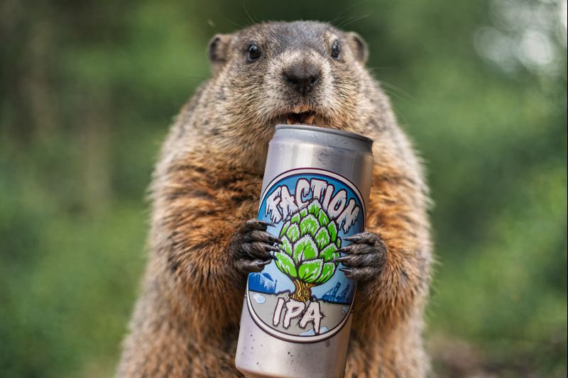 Faction Brewing tweet media