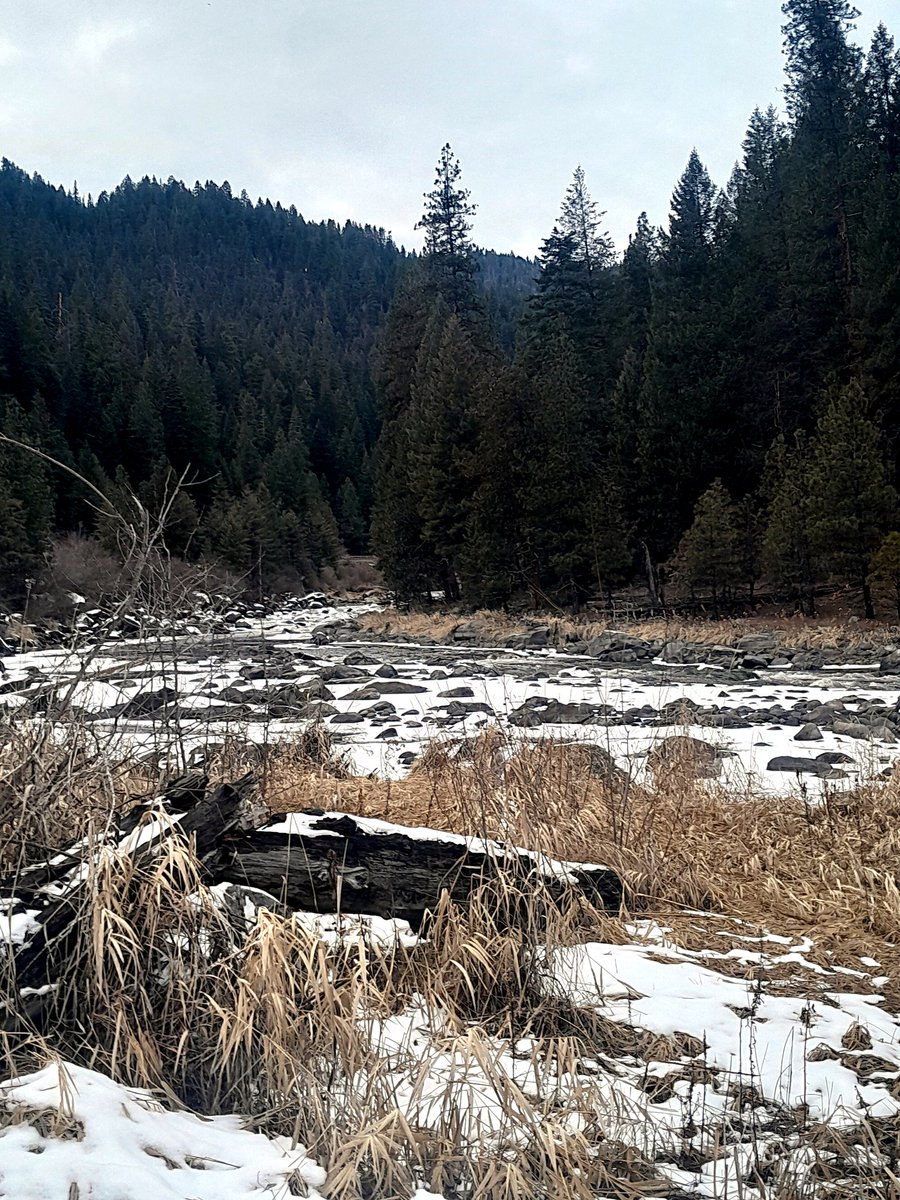 Lost in the Woods tweet media