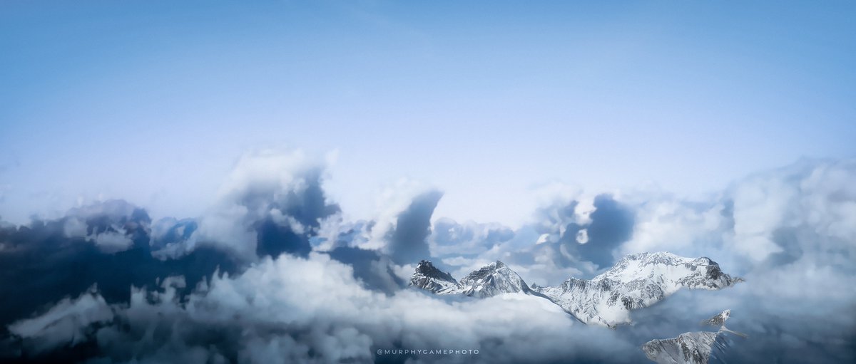 MurphyVP tweet media