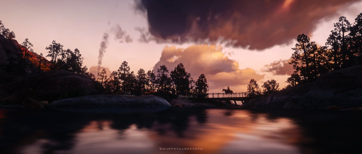 MurphyVP tweet media