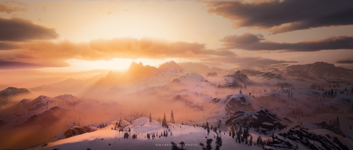 MurphyVP tweet media