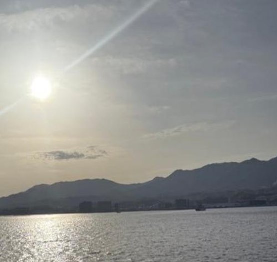 improser2's tweet image. 言葉が簡単 🦜