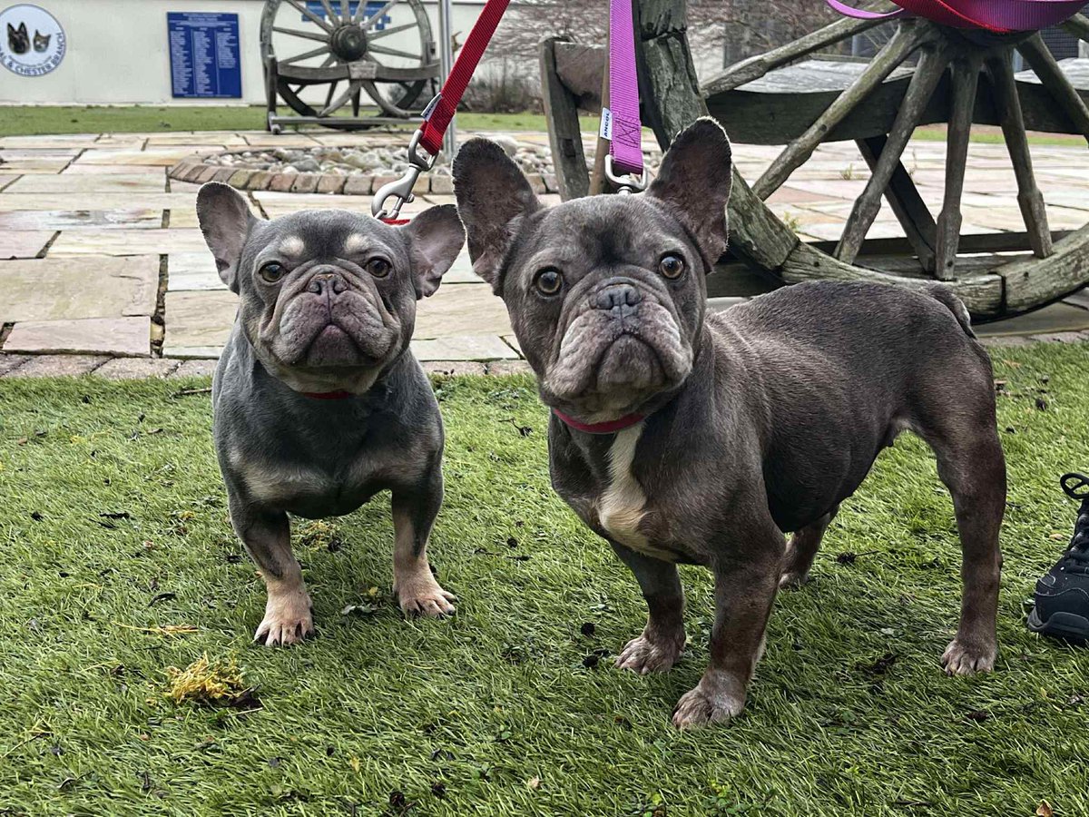 Anthony Joynes tweet media