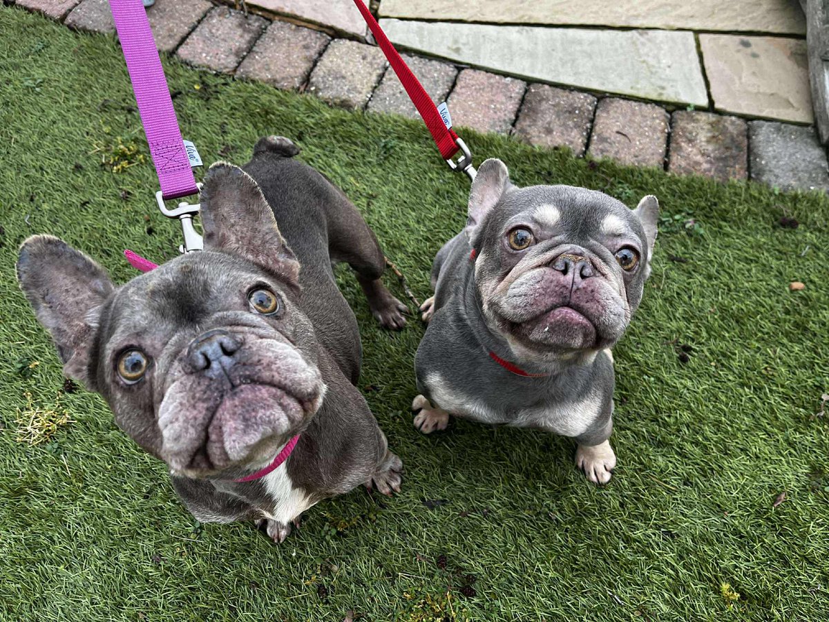 Anthony Joynes tweet media