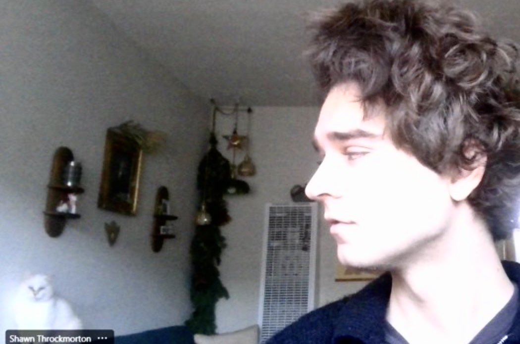 shawnwithawn's tweet photo. This series of screenshots from my cat joining in on teams meetings https://t.co/4pK9IcCq8k