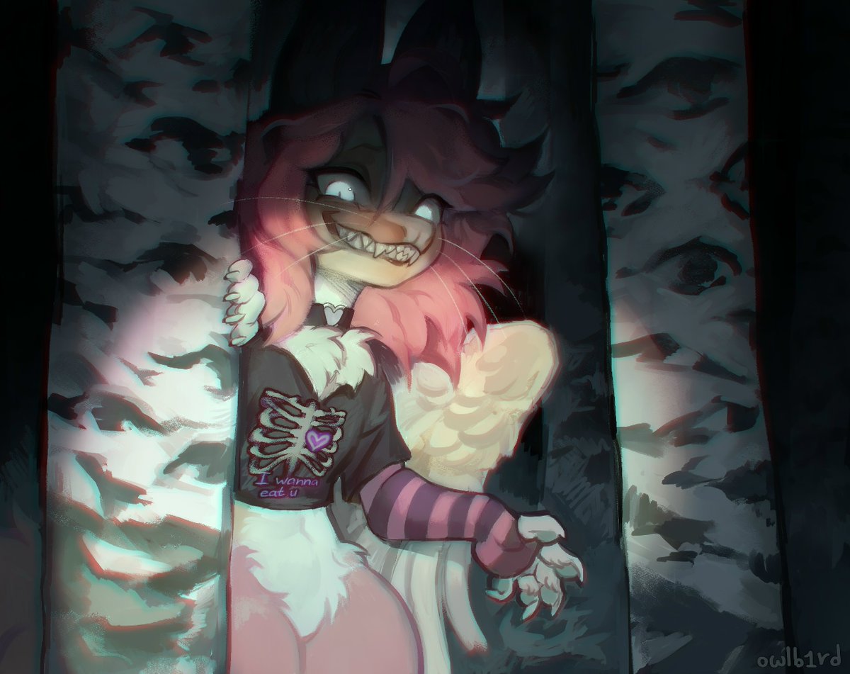 Совушка (@owlb1rd) on Twitter photo 