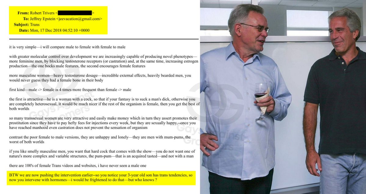 againstgrmrs's tweet image. SHOCKING: Jeffrey Epstein spoke to a Harvard scientist about the s*xual benefits of turning children trans, and spoke of doing so as young as 3 years old.