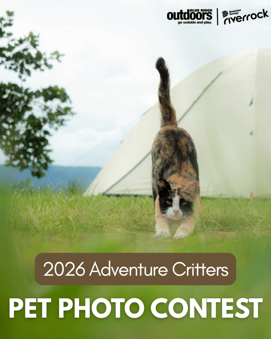 Blue Ridge Outdoors tweet media