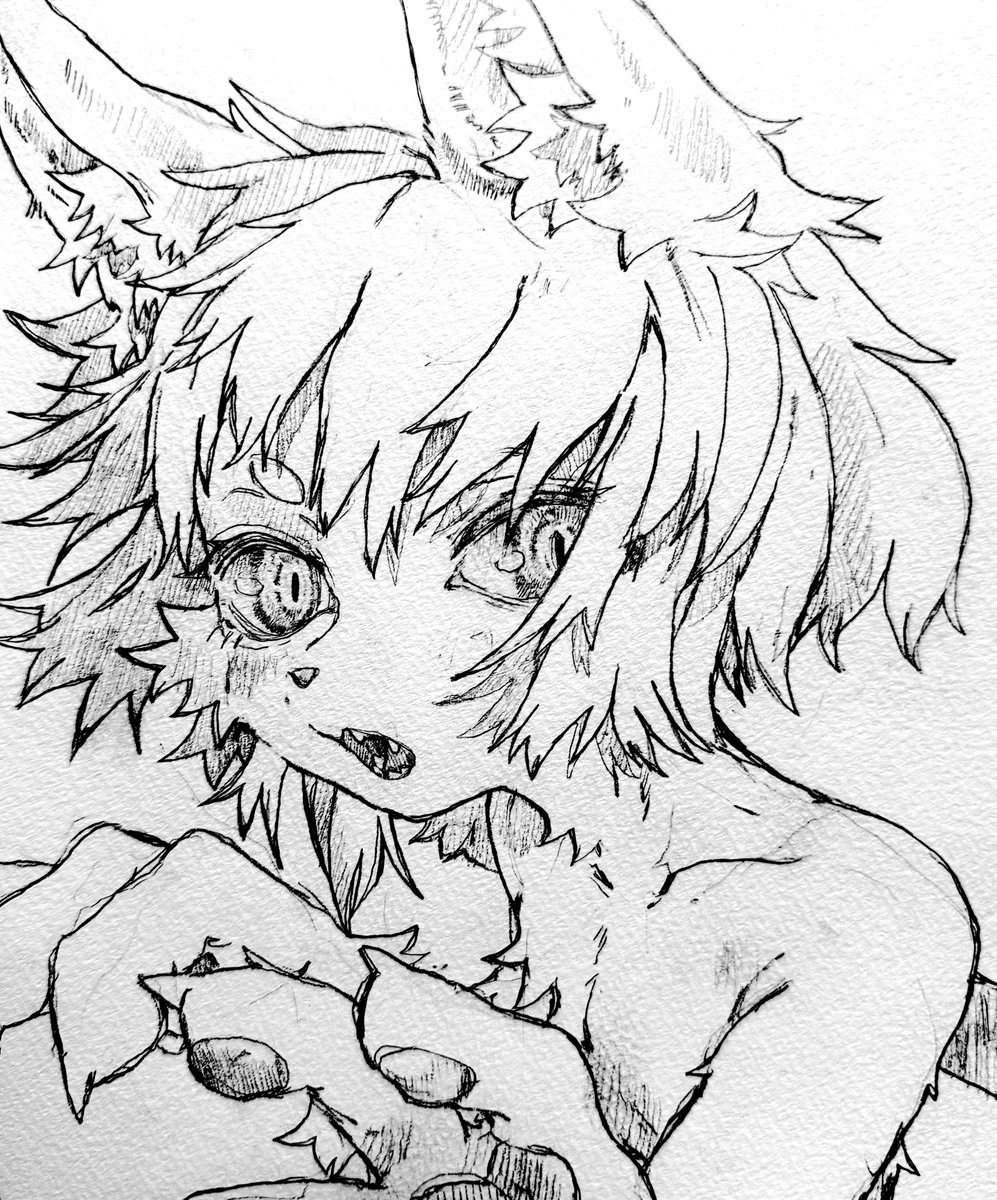 かほー tweet media