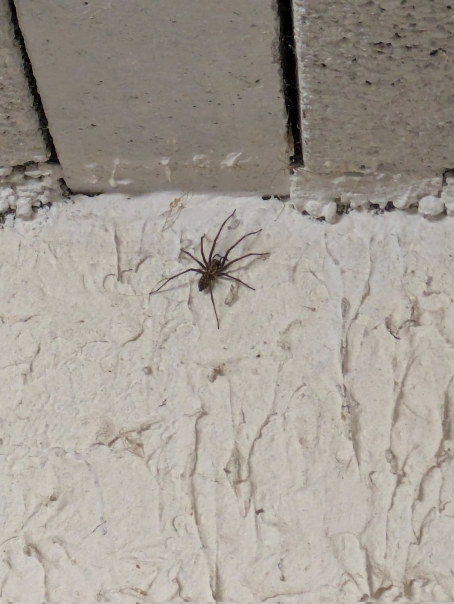 Vend maison à la campagne, 100m² sur sous-sol, 2km² de terrain, pas de voisins, entourée de prés et de forêts à 1h20 de Paris et 45 min de Lyon (gare TGV à proximité)...