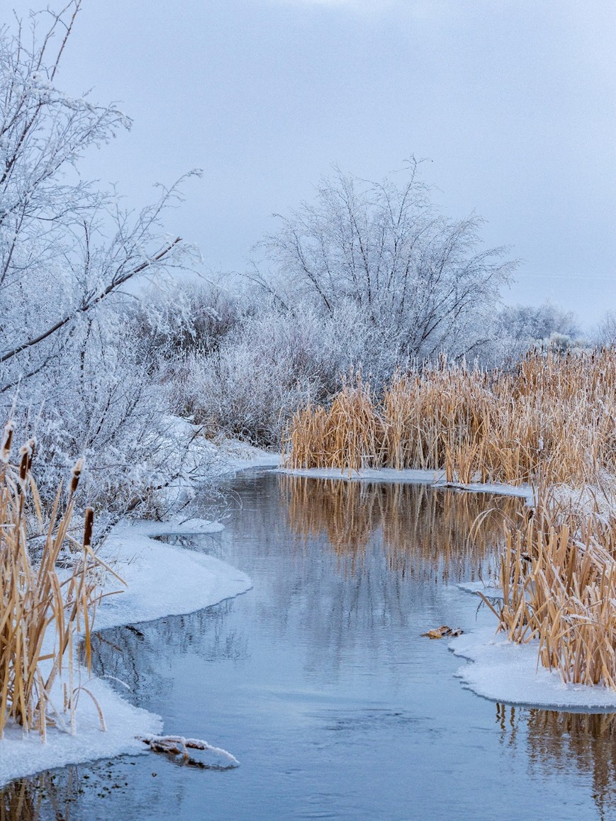 Royal Life Saving Society UK - RLSS UK tweet media