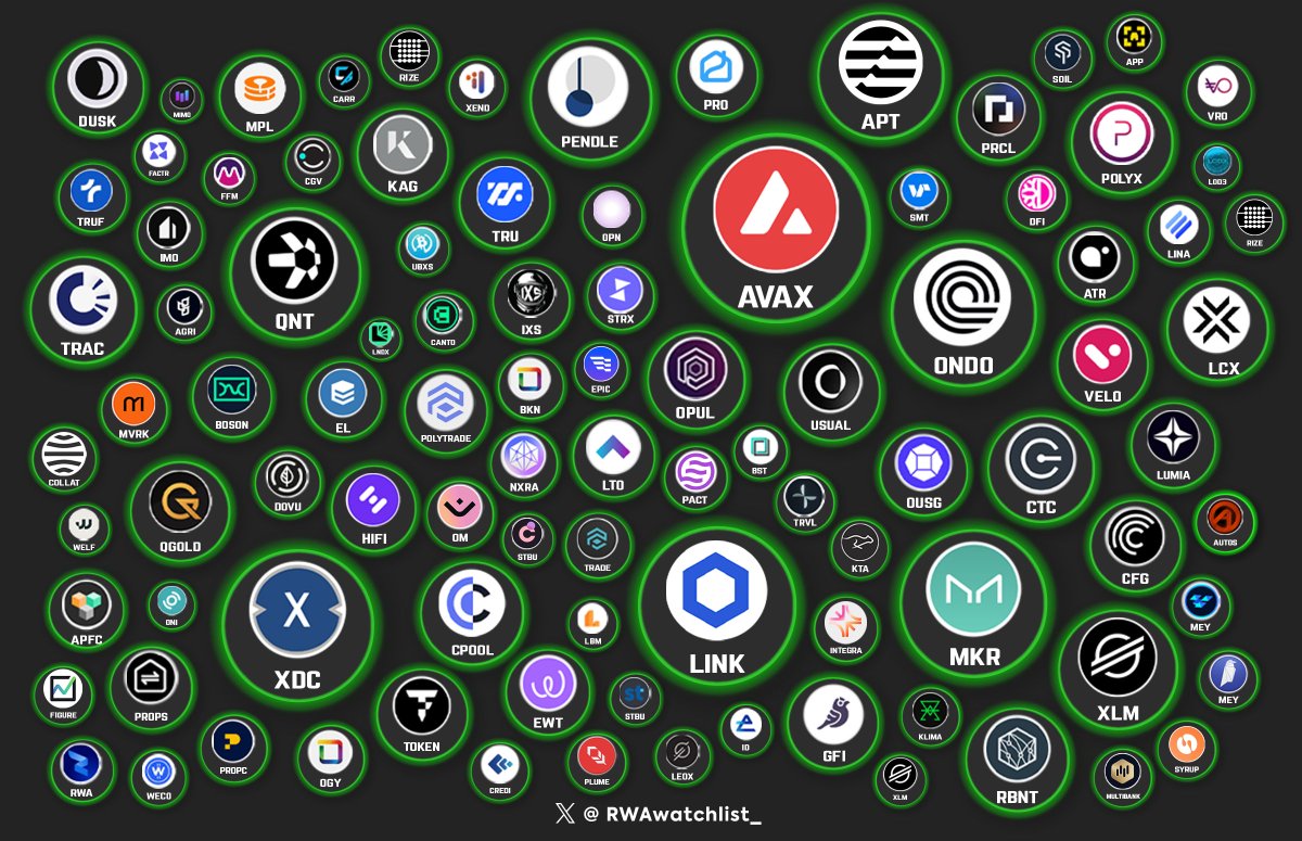 Real World Asset Watchlist tweet media
