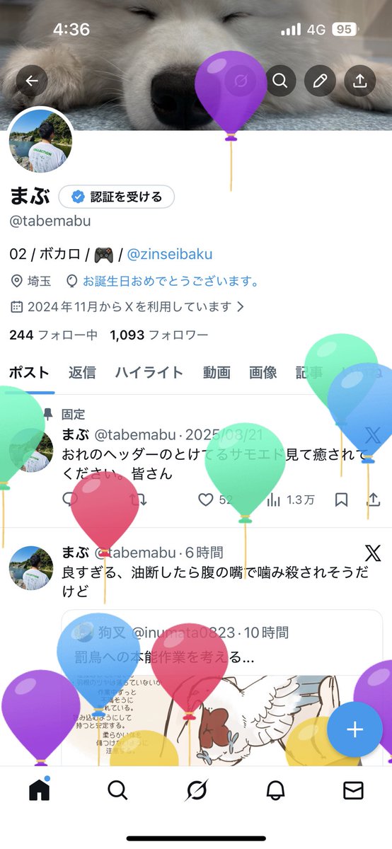 まぶ tweet media