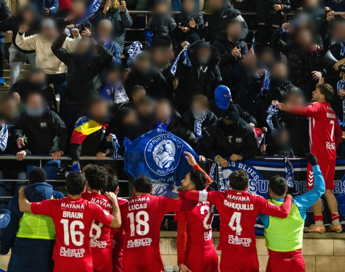 Supporters Blues tweet media