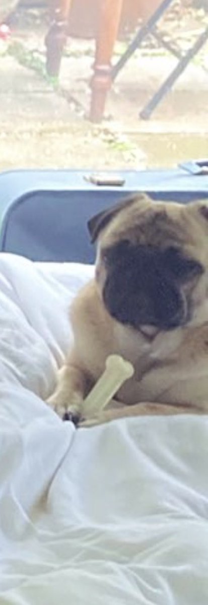 adam bennett tweet media