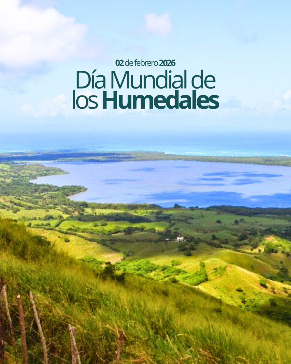 Los humedales son ecosistemas esenciales: regulan el agua, protegen las costas y resguardan una gran biodiversidad.

En Miches, Laguna Redonda y Limón, Área Protegida categoría RAMSAR, nos recuerda la importancia de conocer, valorar y proteger estos espacios.