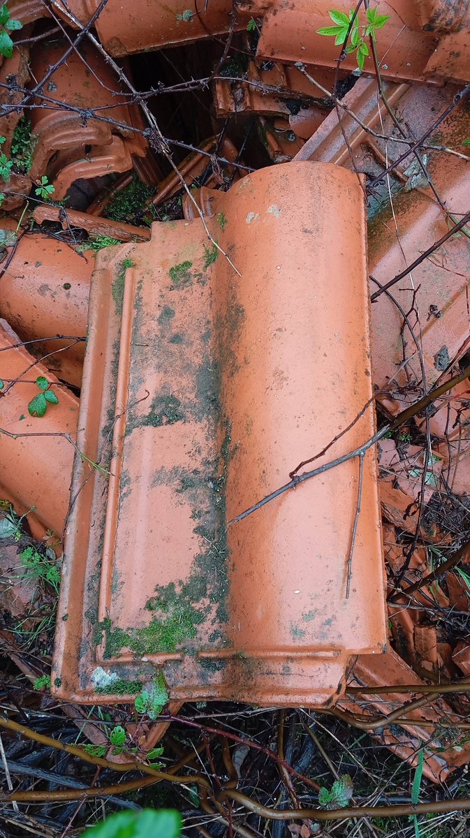 alentejo_1970's tweet photo. "Tenho telhas para dar a quem tiver sido afectado pela tempestade e esteja a necessitar."
Local: Coimbra
Telm: 917717439 https://t.co/Z5OELwRxkX