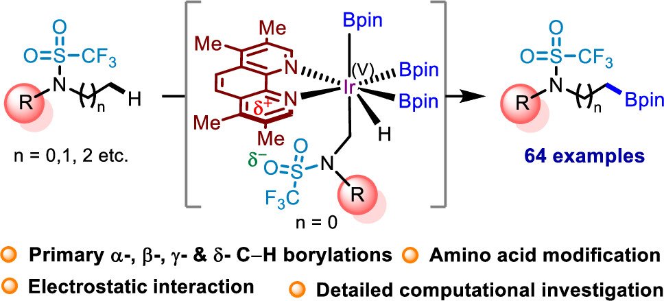 Iridium-Catalyzed Borylation of Strong Alkyl C(sp3)–H Bonds of Sulfonamides Enabled by Triflyl Activation (<a href="/J_A_C_S/">J. Am. Chem. Soc.</a>): pubs.acs.org/doi/10.1021/ja… (<a href="/buddhadeb1979/">Buddhadeb Chattopadhyay</a>, <a href="/arkachem99/">Arkaprava Biswas</a>, <a href="/Jaitri_Das/">Jaitri Das</a>, <a href="/SayanDey97/">Sayan Dey</a>, <a href="/JagritiChaturv6/">Jagriti Chaturvedi</a>, <a href="/ChattopadhyayL1/">Chattopadhyay Group</a>).