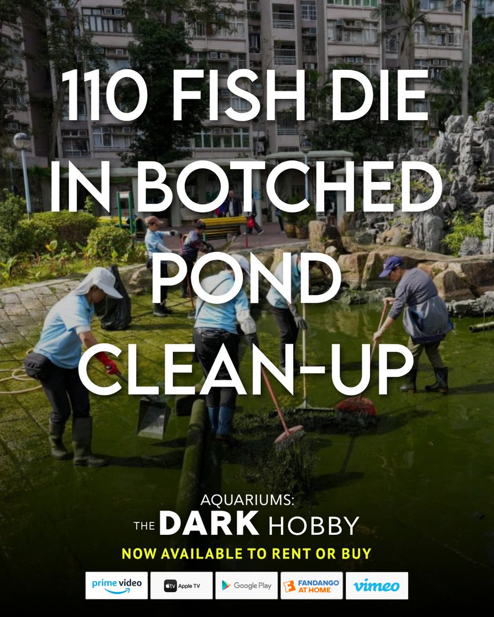 Aquariums: The Dark Hobby tweet media