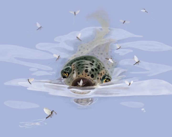 Tony McCall tweet media