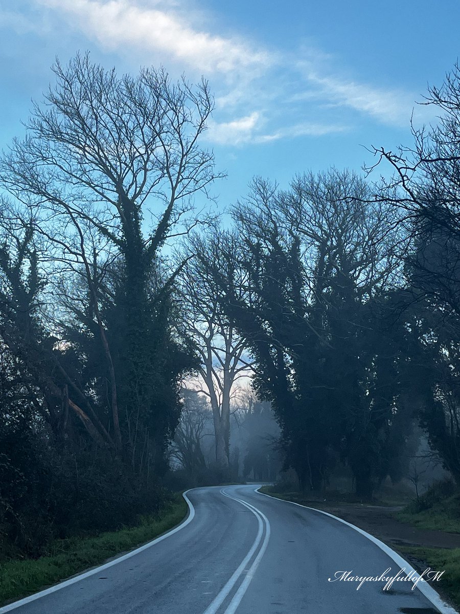 MaryaskyfullofM's tweet image. Keep going. One day, all this effort will make sense and you deserve to be there.