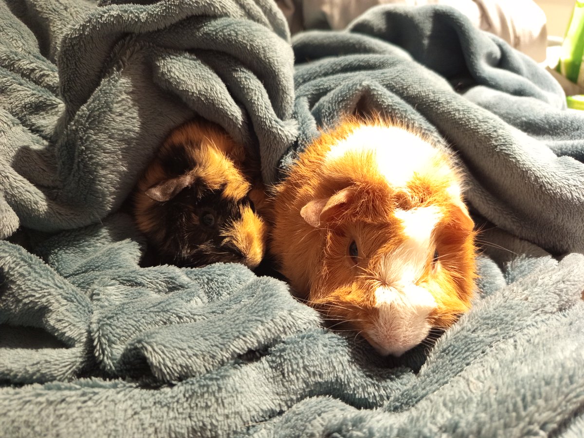 📝Exobass📝 tweet media