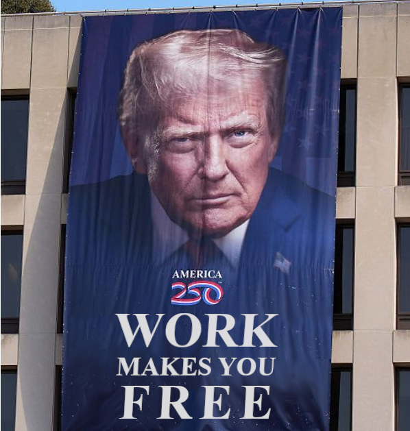 LanaSh 🇬🇧 🇺🇦 tweet media