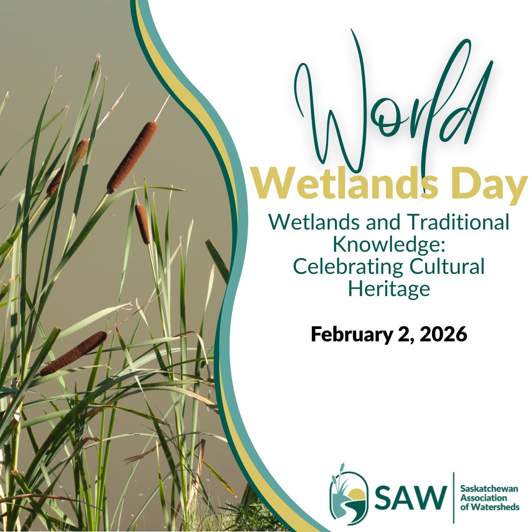 Wetlands = water security, wildlife, and climate resilience.
This #WorldWetlandsDay, let’s value, protect, and restore the ecosystems that protect us. 🌱💧

#WorldWetlandsDay2026 #NatureMatters