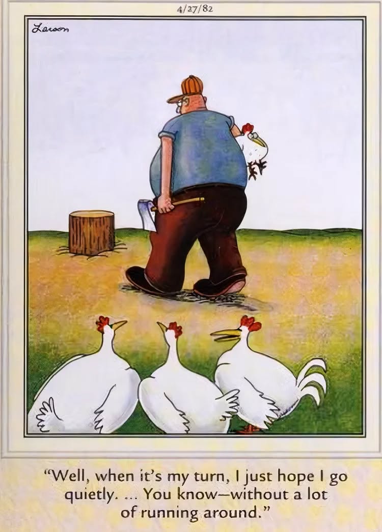 Far Side Fix tweet media