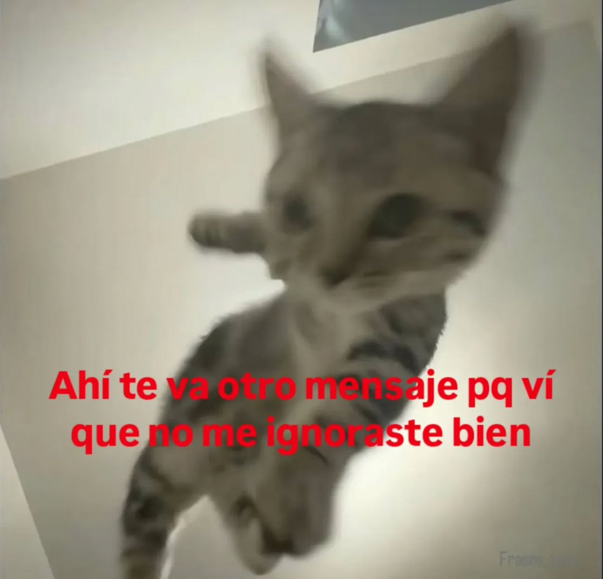 piña sin pizza tweet media