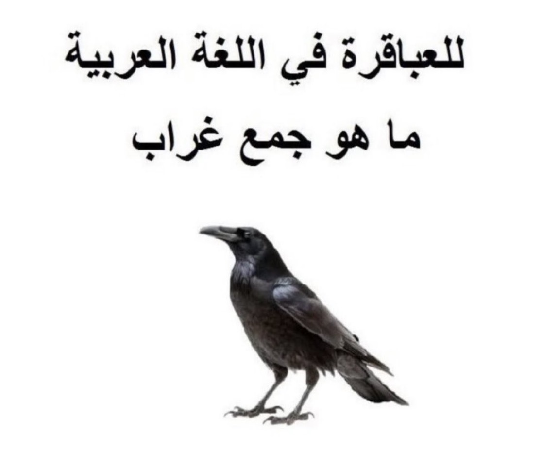 اجتماعي. tweet media