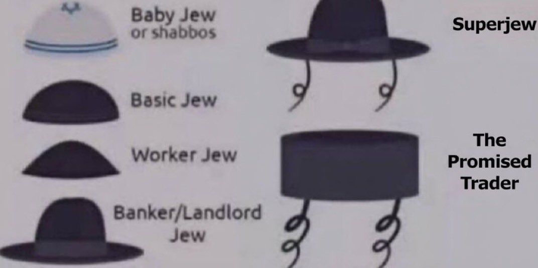 ♦️ZT♦️ tweet media