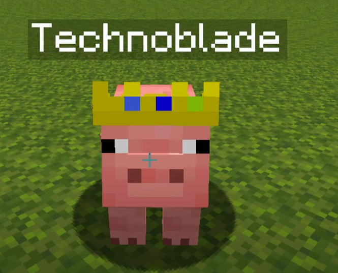 wattles 💎 tweet media