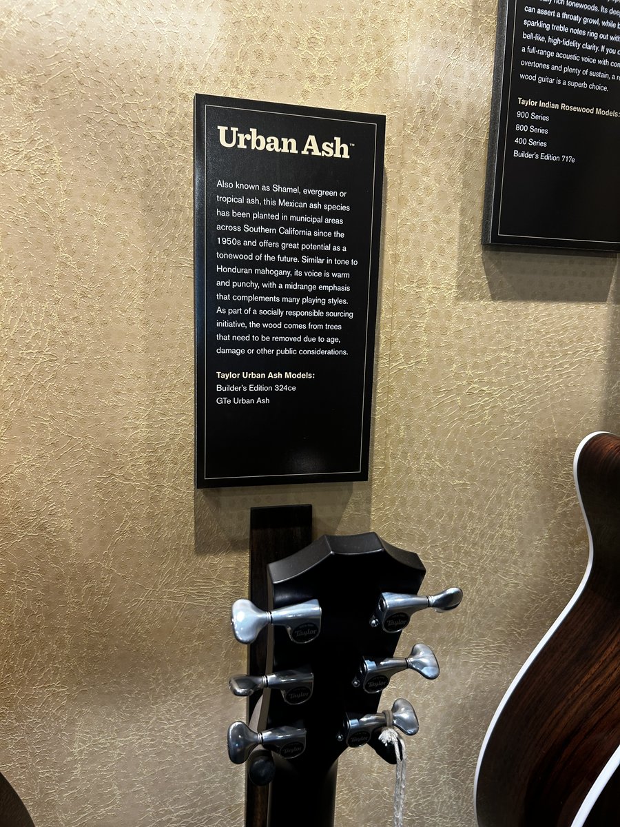 DanLambe's tweet photo. California, you delivered.​

An inspiring visit seeing forest sustainability and urban tree management in action. From @longbeachcity to @TaylorGuitars, I'm grateful for the partners and leaders using trees to make a real difference for people and communities. https://t.co/kYUVTzO9Xa