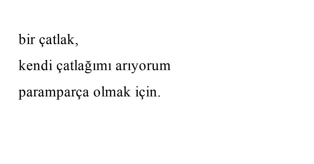 "kendi çatlağımı arıyorum
paramparça olmak için."

iç deney.
georges bataille.