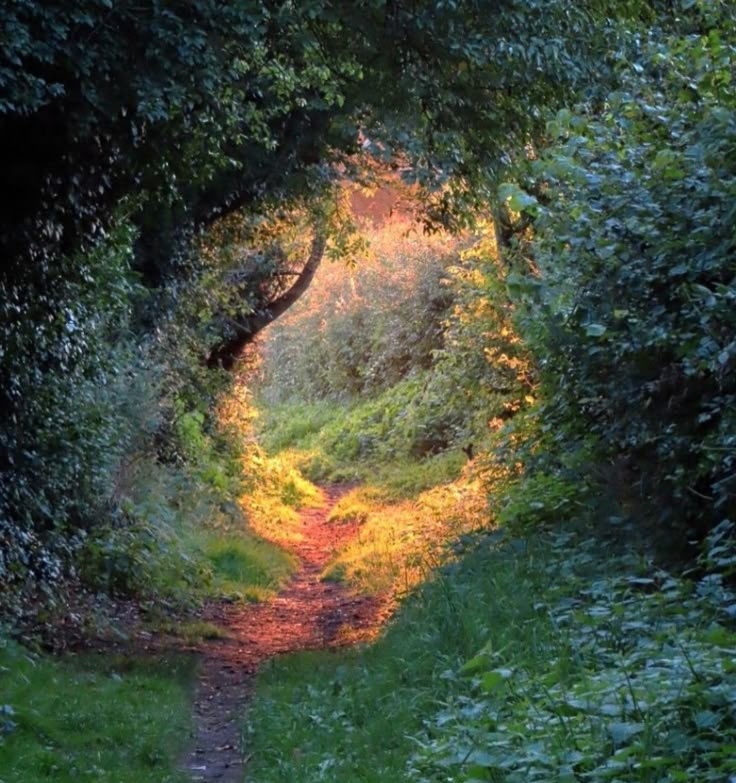 naturaholic tweet picture