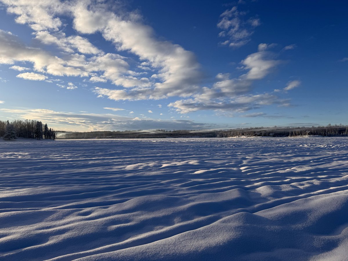 Home finally and recovering. But my god my trip to Alaska was incredible. That was a once in a lifetime experience and I am so glad I went.