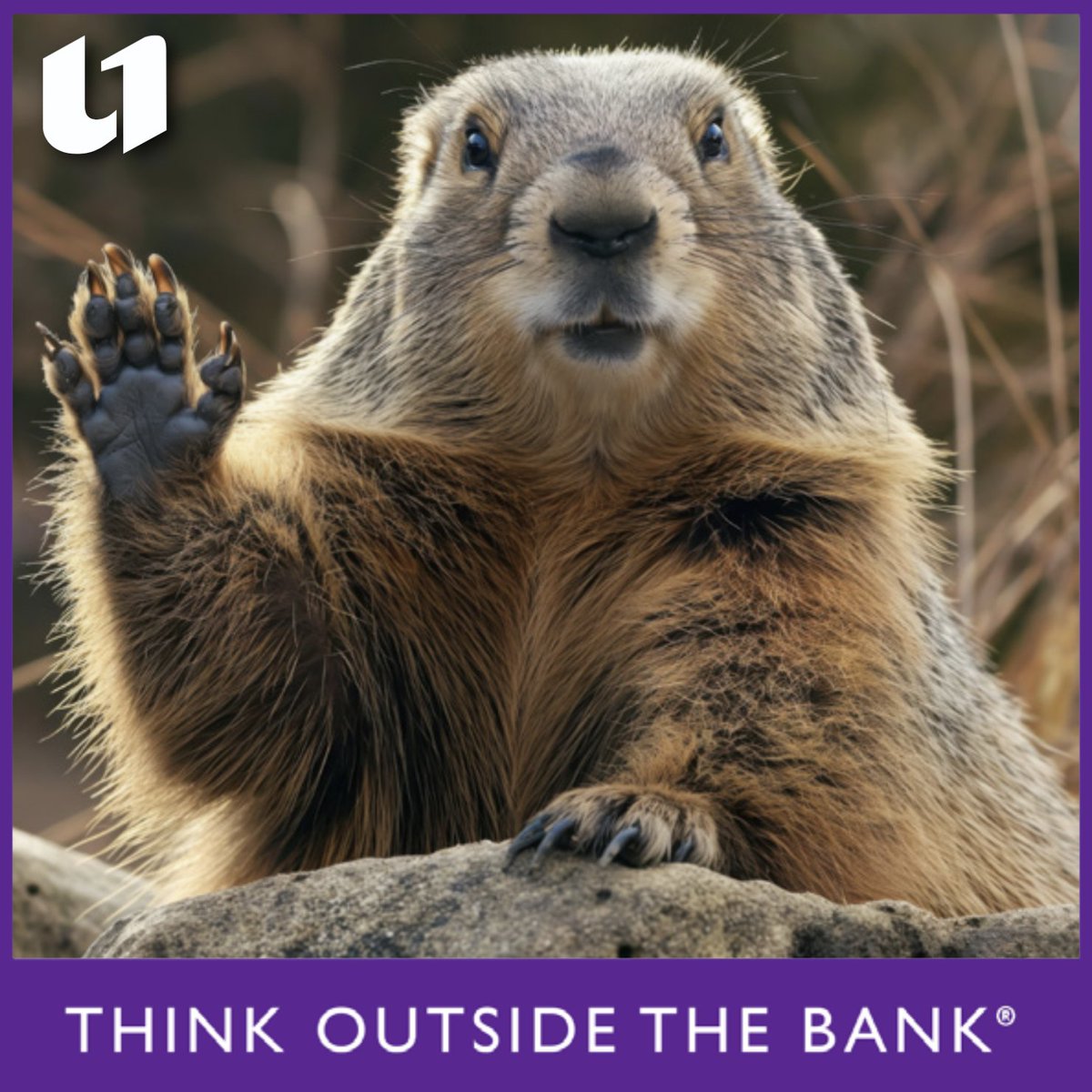 Unity One Credit Union tweet media