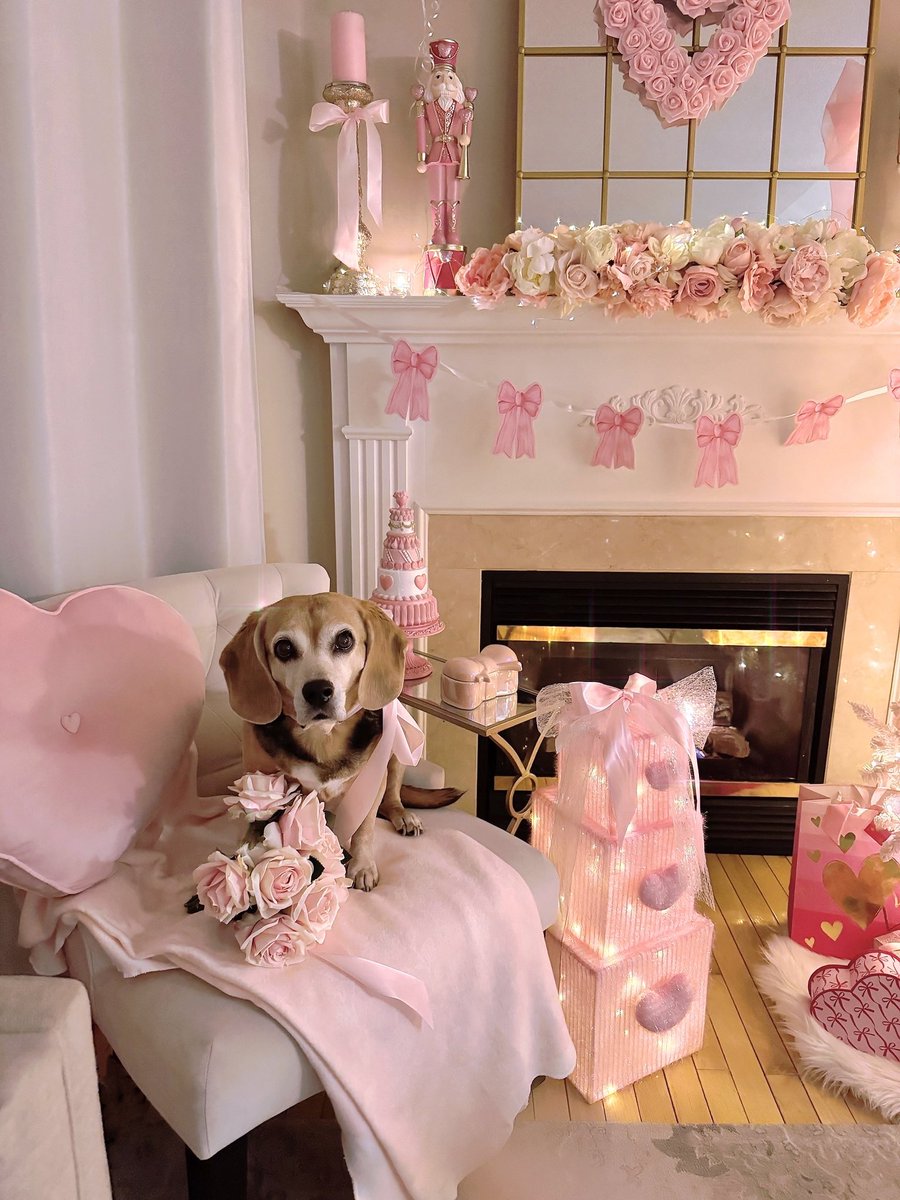 I’m my Mama’s lil Valentine. 💕🐶💕<a href="/DecoratorDiva1/">💖Decorator Diva💖</a> and she sayz dat I iz very cute too💝

#ValentineDog #CuteBeagle #Beagle #ValentineDecor #PinkLove #BeagleLove