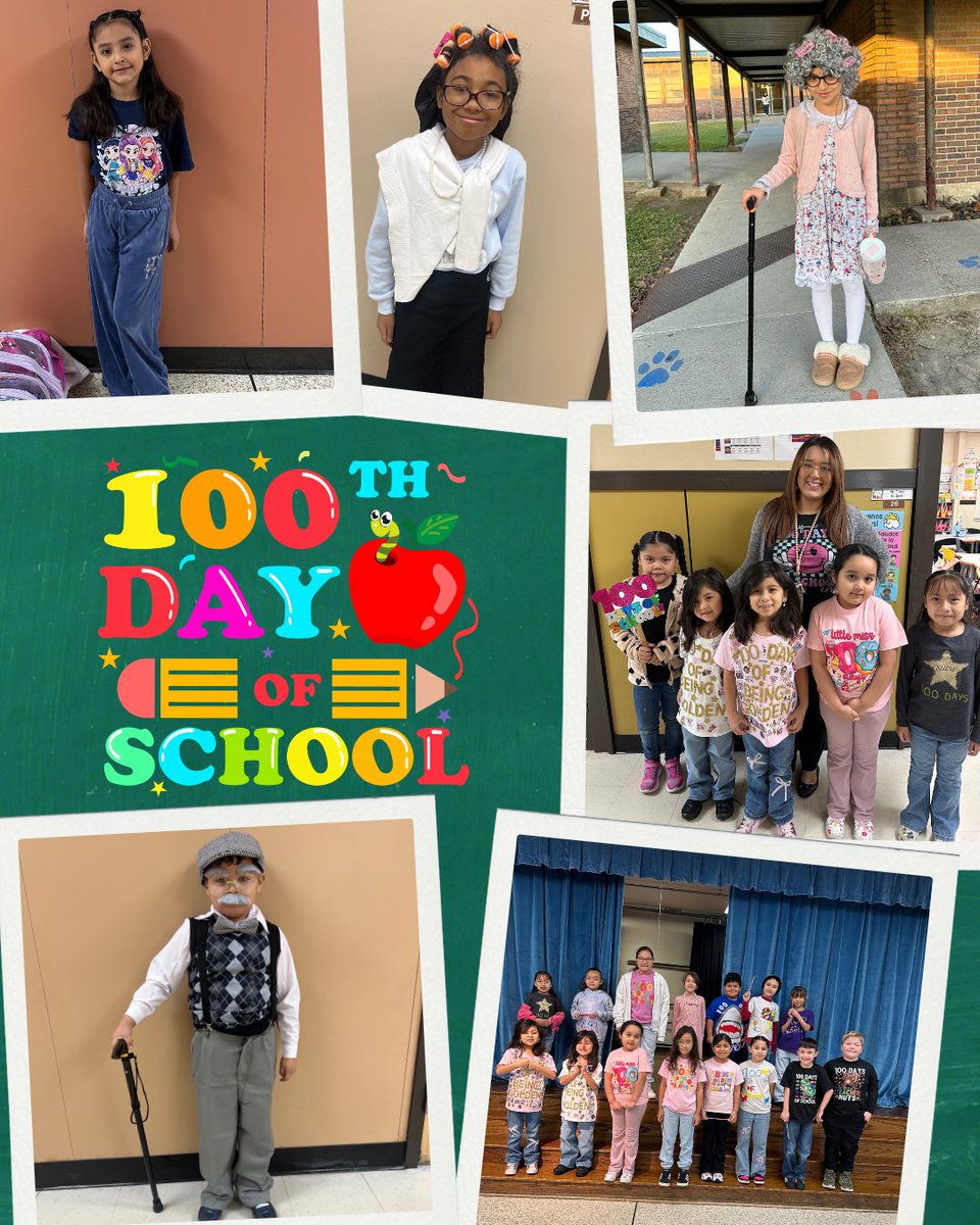 Orange Grove Tigers tweet media