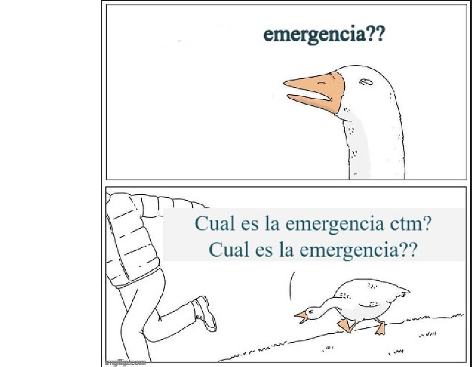 <a href="/thecliniccl/">The Clinic</a>