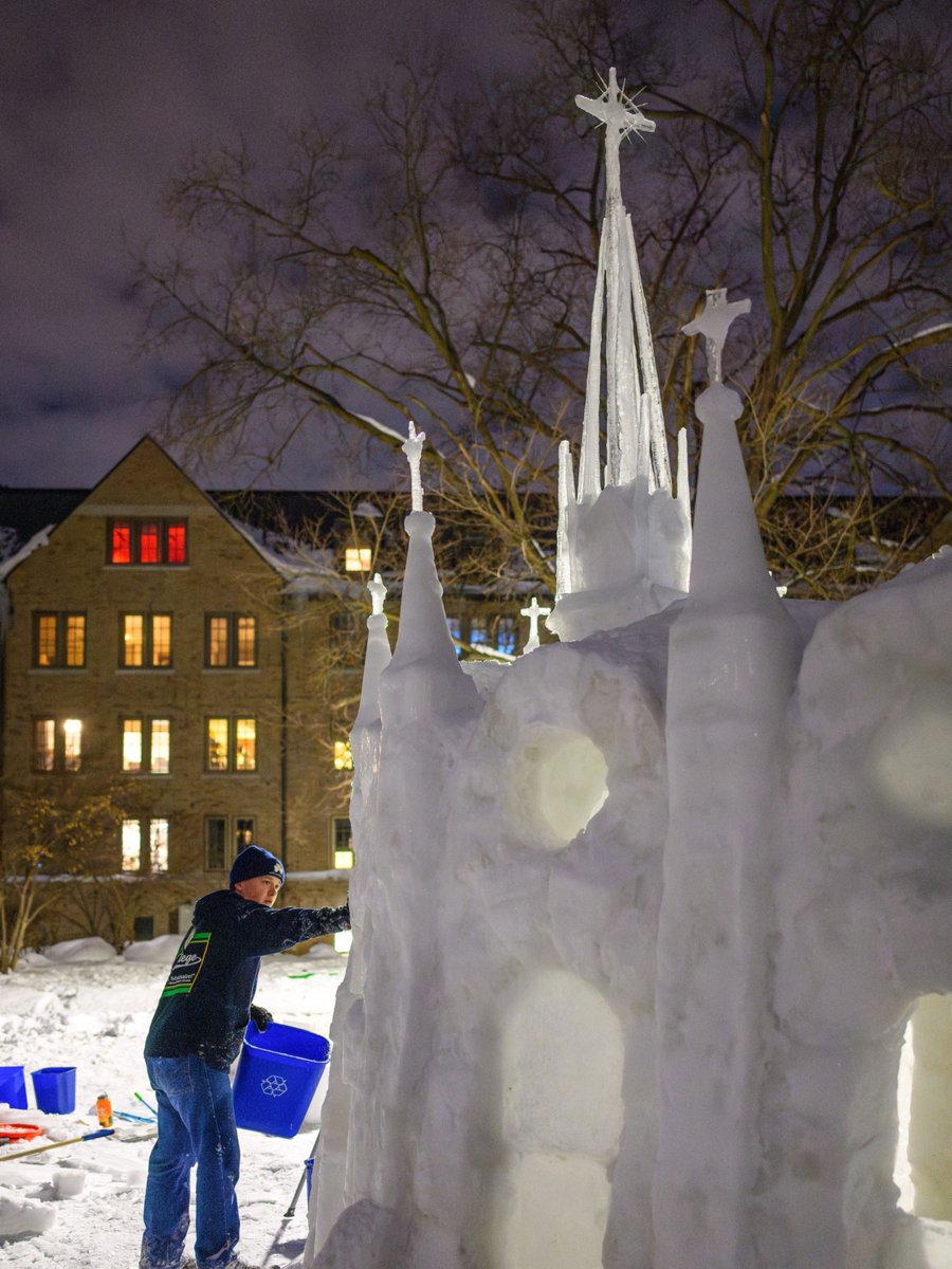 ND Loyal tweet media