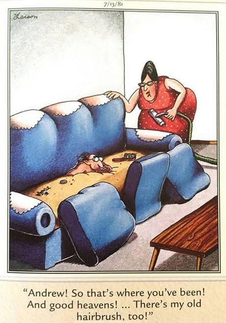 Far Side Fix tweet media