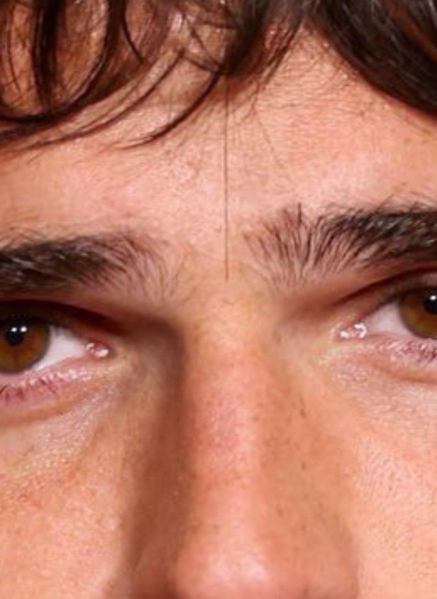 pauliebleek3r's tweet image. okay zayn malik