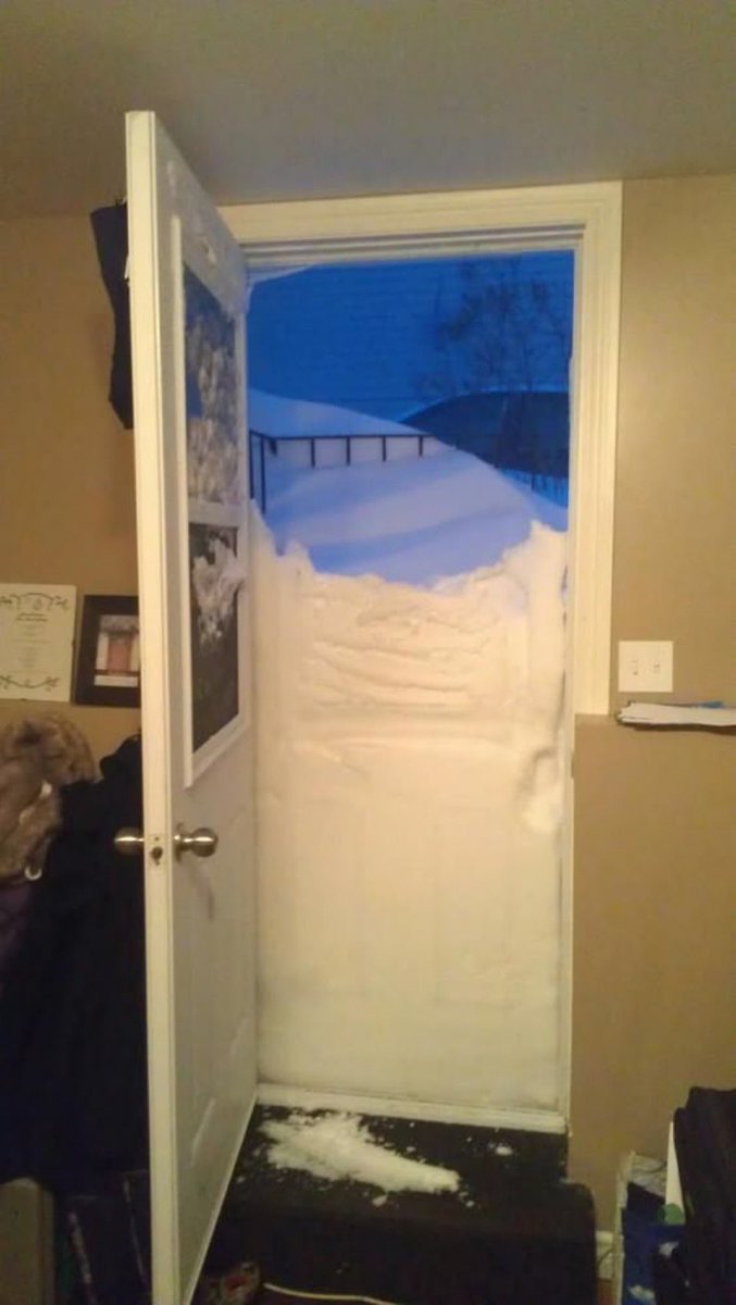 Honey 🛼 tweet media