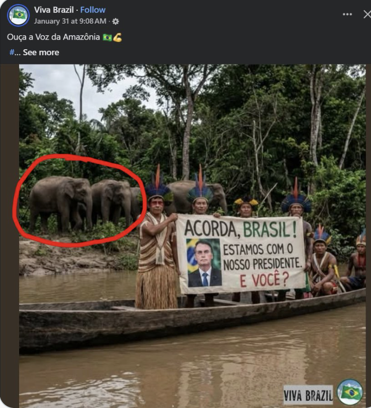 Bolsonarismo 🤣🤣🤣🤣