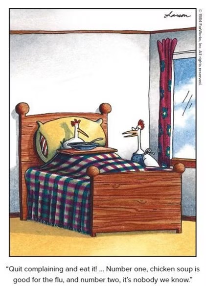 Far Side Fix tweet media