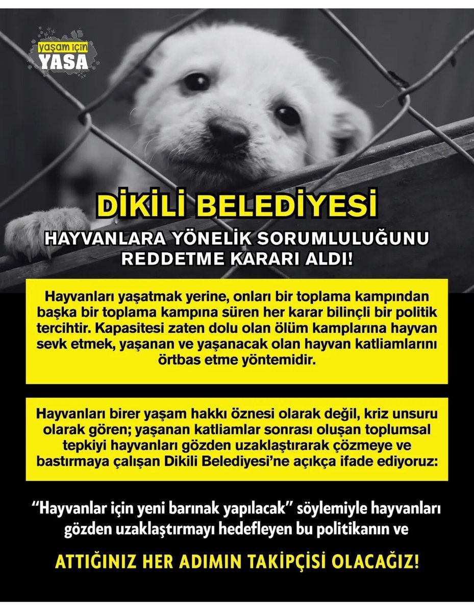 Dikili belediyesi,
Kanuna aykırı toplamalarına devam ediyor, topladığı köpekleri dolu olan ilçe barınaklararına göndererek yeni katliamlara hazırlanıyor!

<a href="/adilkirgoz/">ADİL KIRGÖZ</a> <a href="/dikilibelediye/">Dikili Belediyesi</a> 
<a href="/herkesicinCHP/">CHP 🇹🇷</a> <a href="/drcemiltugay/">Dr. Cemil Tugay</a> <a href="/chpizmiril/">CHP İZMİR İL BAŞKANLIĞI 🇹🇷</a> <a href="/RizvanogluEvrim/">Evrim Rızvanoğlu</a> <a href="/UmitOzlale/">Prof Dr. Ümit Özlale</a> 

#DikilideKatliamVar