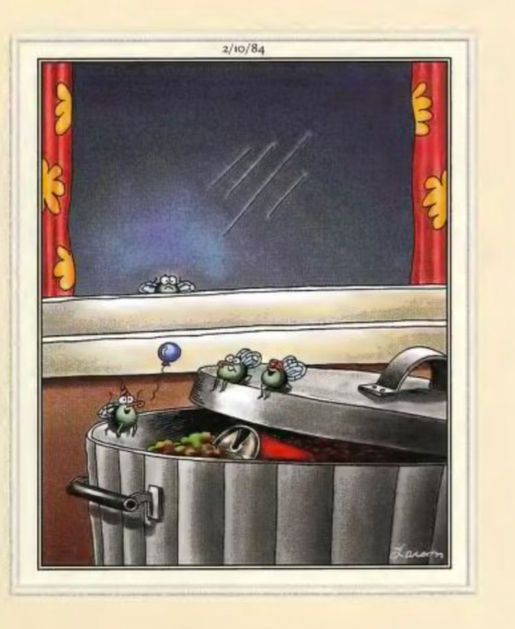 Far Side Fix tweet media